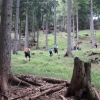 Familienwanderung Steyrerhütte 15.16.-Juni